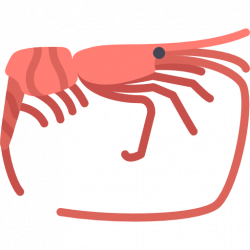 250x250 seafood drawing king prawn, picture