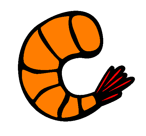 505x470 Shrimp, Drawing, Food, Transparent Png Image Clipart Free Download