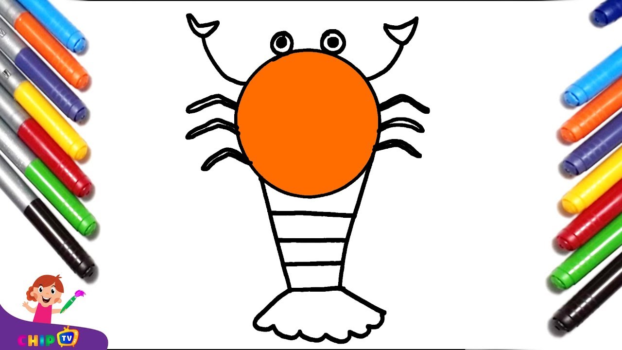1280x720 Shrimp Drawing Drawing For Kids And Painting For Kids