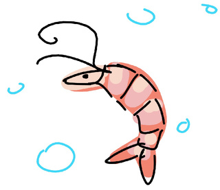 320x277 shrimp drawings on paigeeworld pictures of shrimp