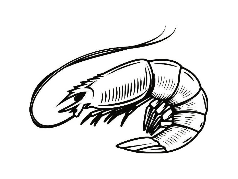 931x700 Shrimp Drawing Tribal For Free Download