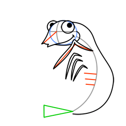 260x260 Cartoon Shrimp Step