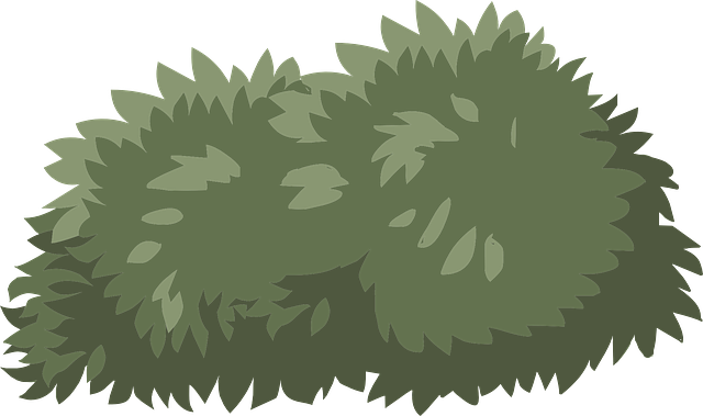 640x379 Collection Of Free Bush Drawing Shrub Download On Ui Ex