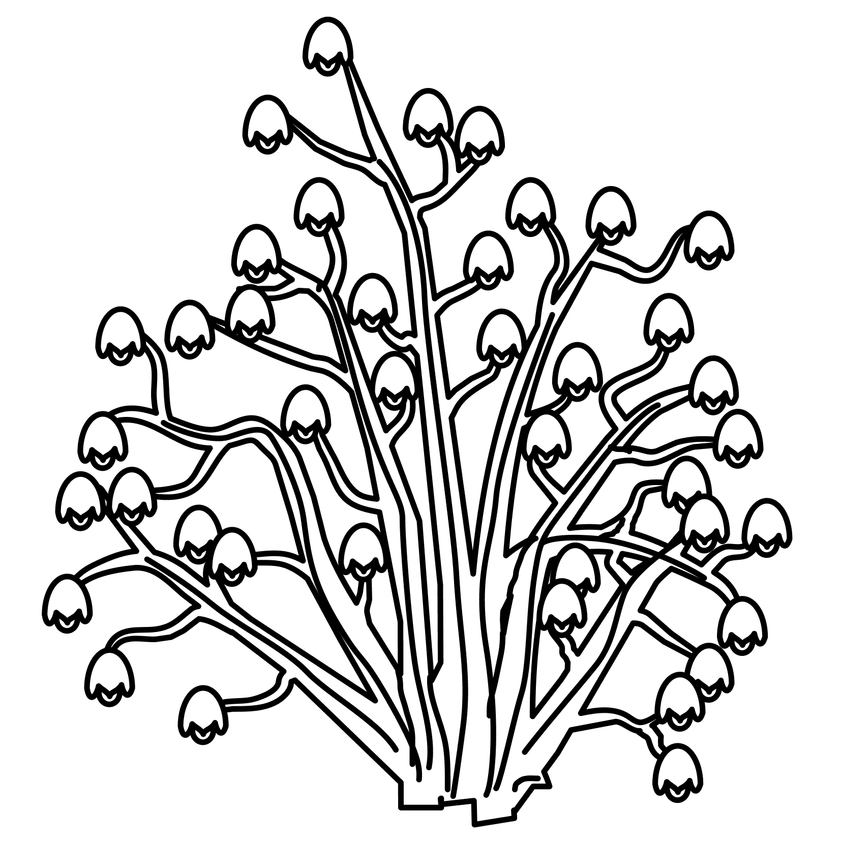 1654x1654 Coloring Pages Plants