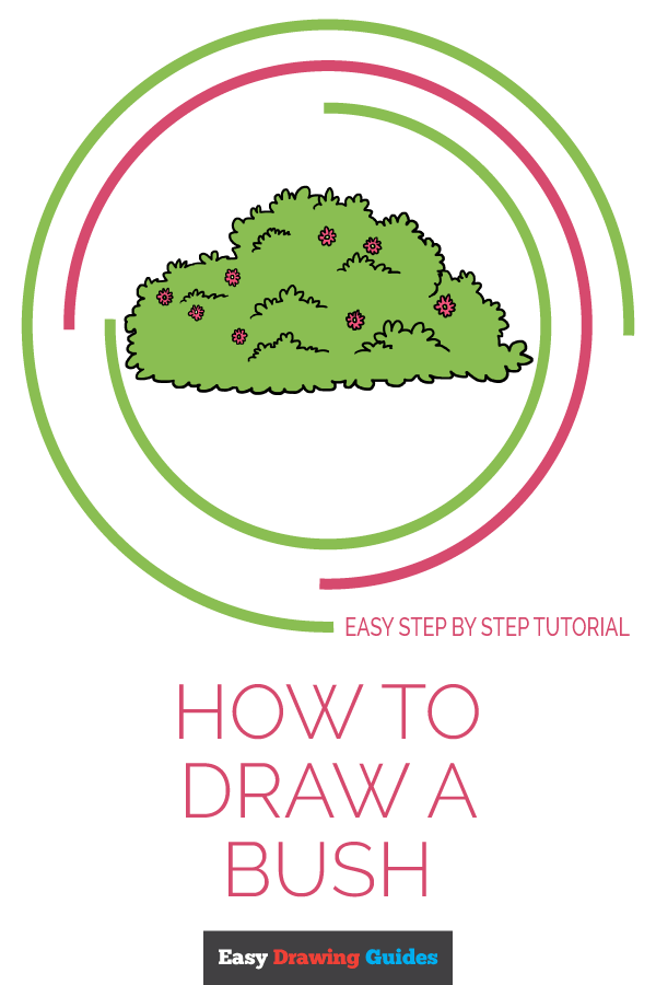 600x900 How To Draw A Bush