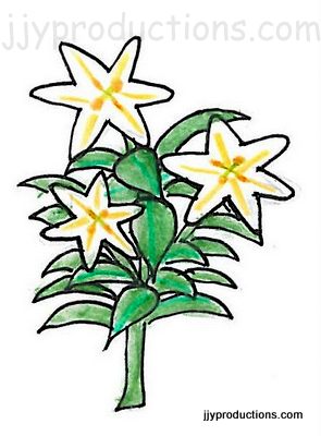 295x400 Drawing Easter Lilies Bush Plant Jjy Productions