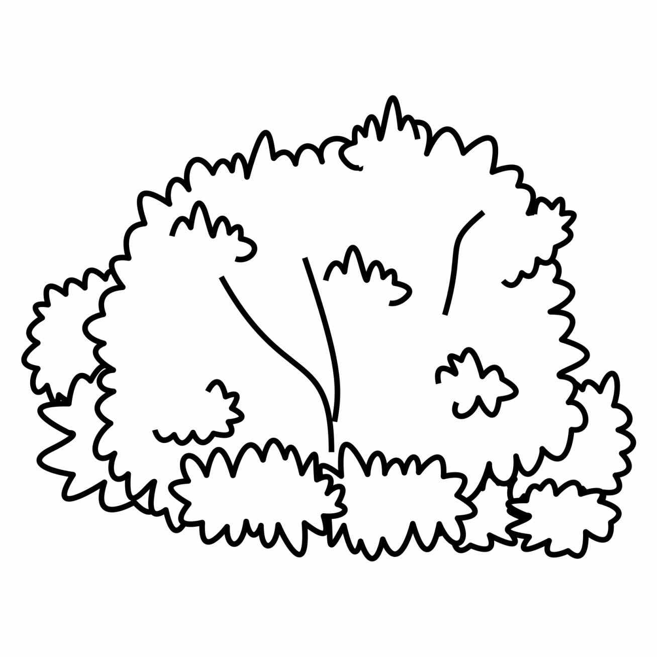 1307x1307 Bush Drawing Free Download