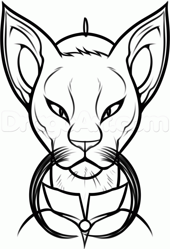 710x1035 How To Draw A Siamese Cat, Step