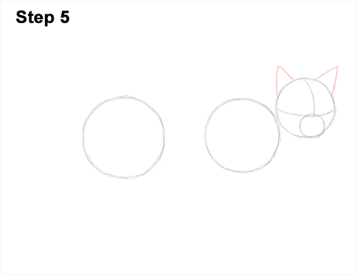 500x386 How To Draw A Siamese Cat
