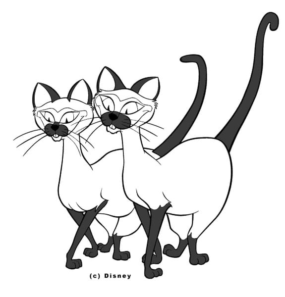 575x600 Siamese Cat Line Drawing Coloring Pages Best Coloring