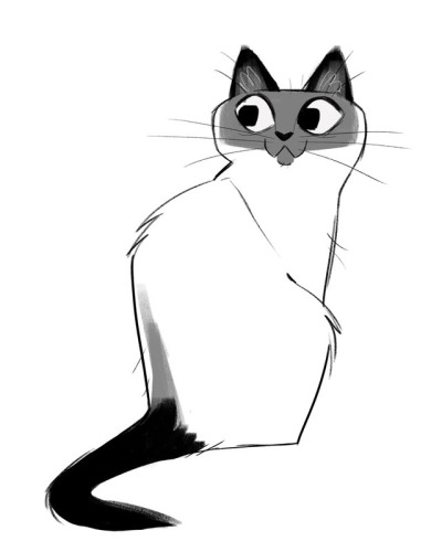 400x500 Siamese Cat Tumblr