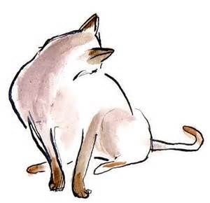 300x290 Siamese Cat Sketches