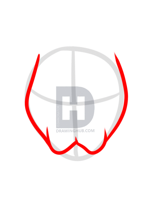 493x720 How To Draw A Siamese Cat, Step