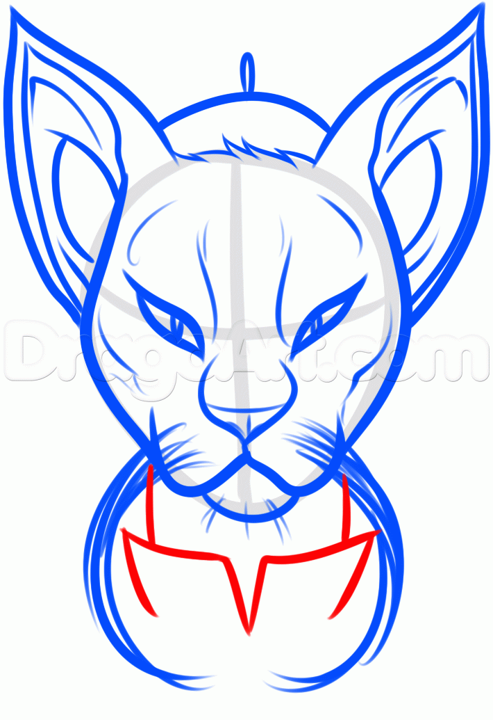 710x1035 How To Draw A Siamese Cat, Step