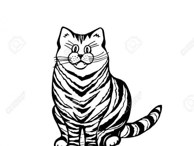 640x480 Siamese Cat Clipart Tom