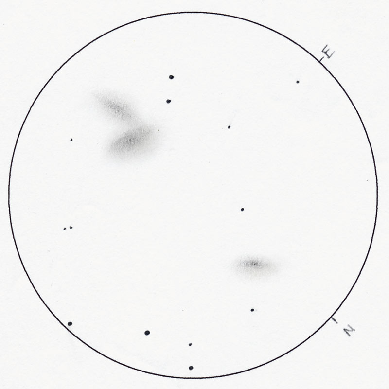 800x800 Siamese If You Please Astronomy Sketch Of The Day