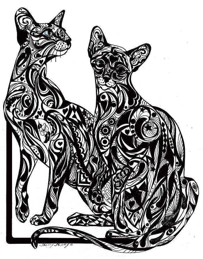 707x900 Siamese Twin Tangle Drawing