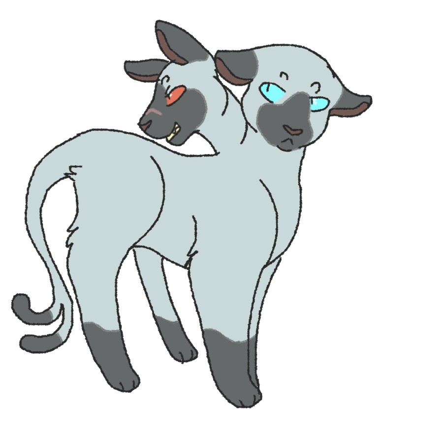 894x894 Siamese Twins Closed