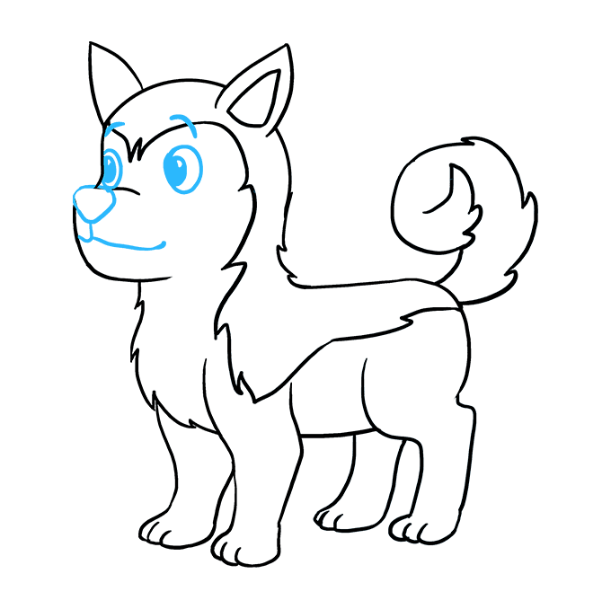 680x678 How To Draw A Husky