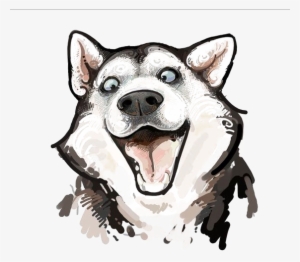 300x262 Siberian Husky Alaskan Malamute Chow Chow Puppy Drawing