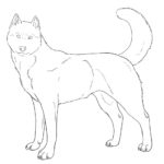150x150 Siberian Husky Coloring Pages Hand Drawing