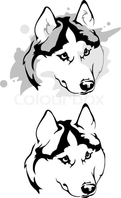 491x800 Vector Drawing Of The Head Of The Dog Stock Vector Colourbox