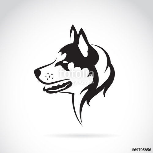 500x500 Vector Image Of A Dog Siberian Husky On White Background Stock