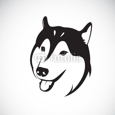 400x400 Vector Of A Dog Siberian Husky On White Background Pet Animal