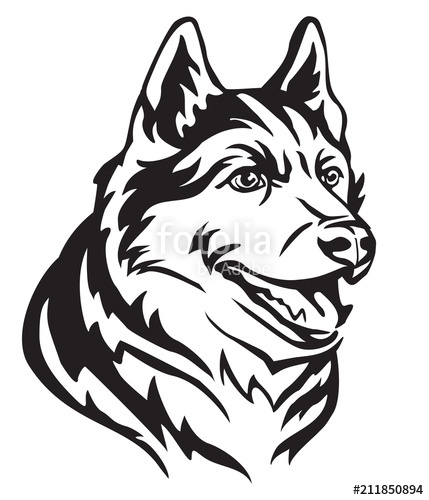 429x500 Decorative Portrait Of Dog Siberian Husky Vector Illustration