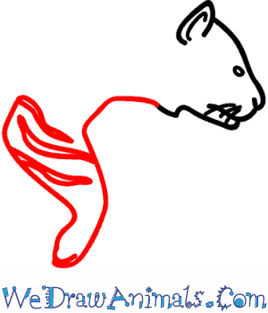 300x350 How To Draw A Siberian Tiger