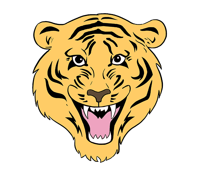 678x600 How To Draw A Tiger Face In A Few Easy Steps Easy Drawing Guides