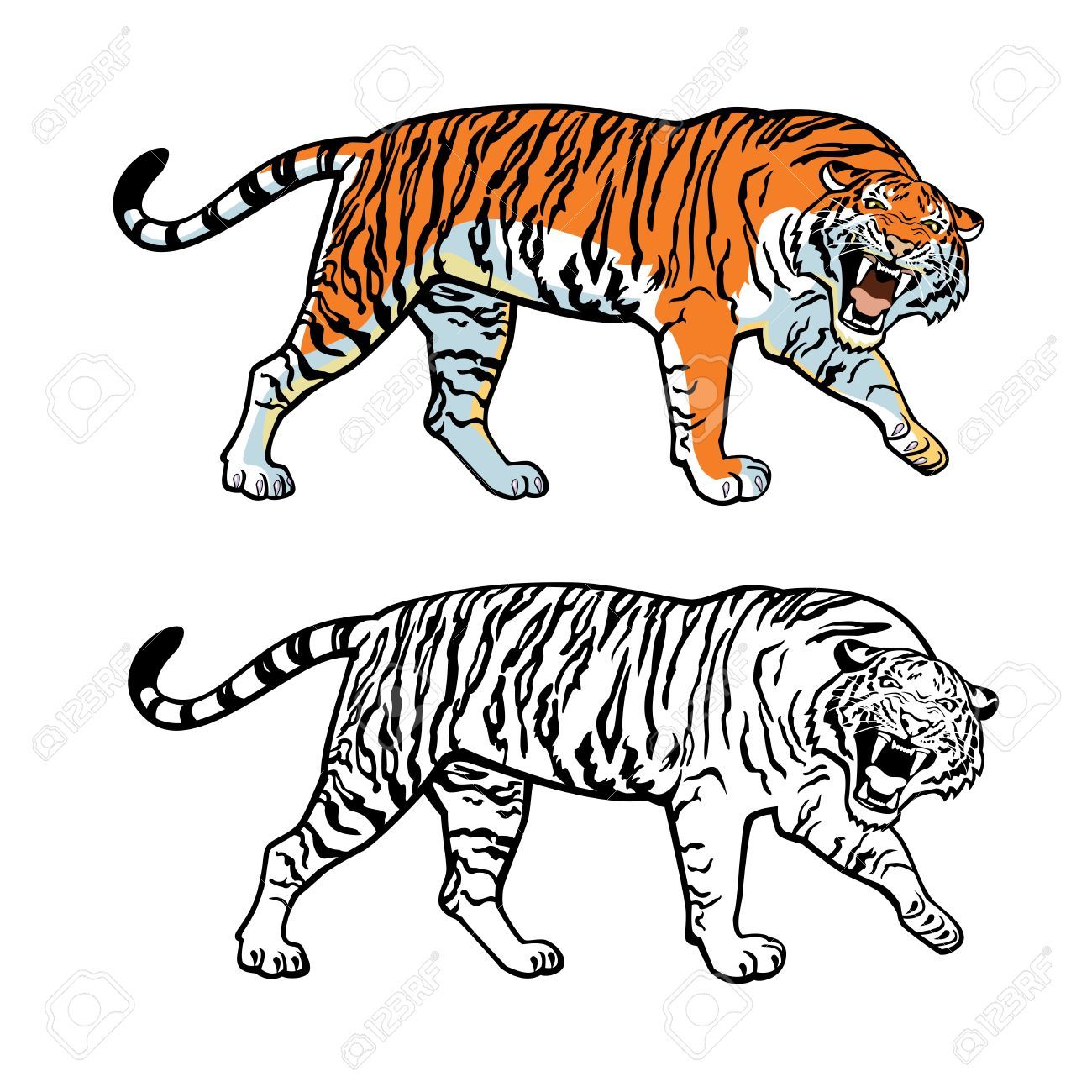 1300x1300 Stock Vector Random Box White Image, Tiger Vector, Siberian Tiger