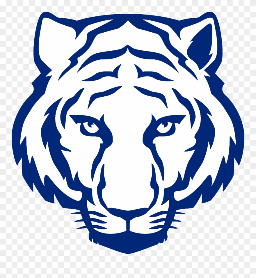 880x955 Tiger Easy To Draw Clipart