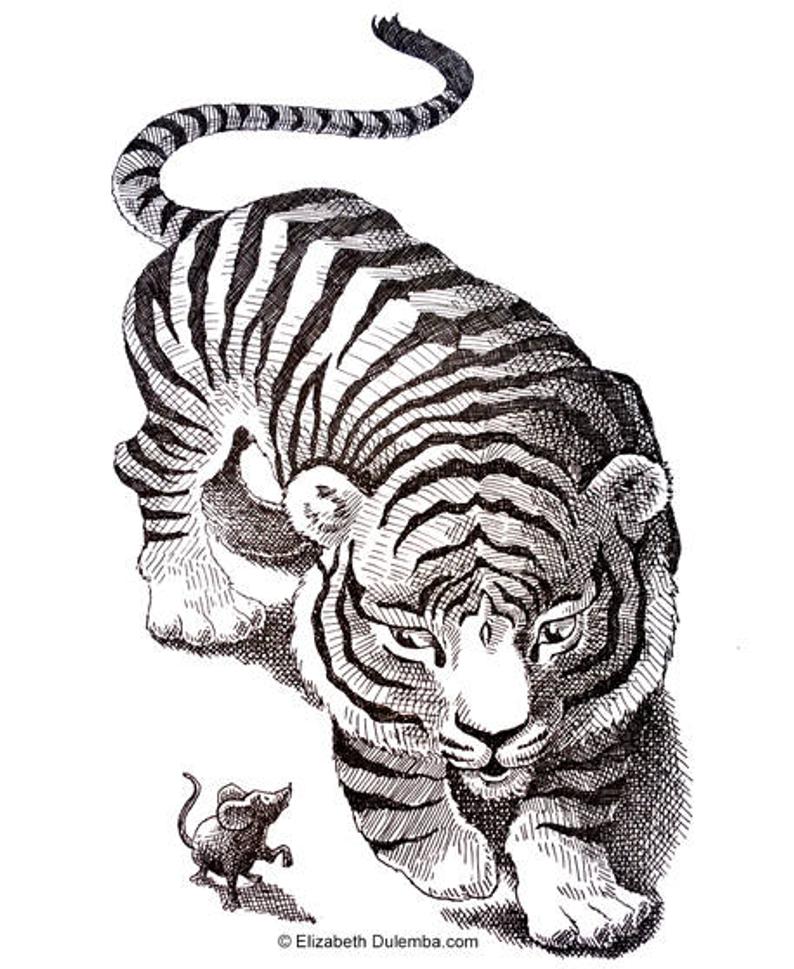 794x969 Tiger And Mouse Original Pen Ink Drawing Etsy