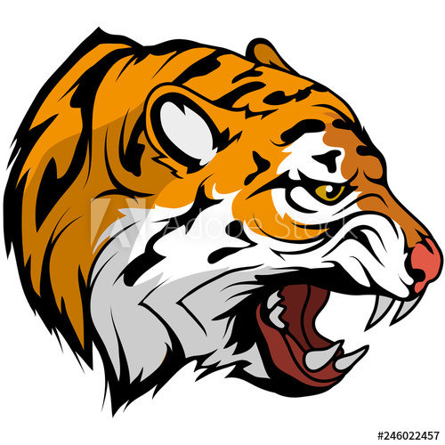 500x500 tiger head vector drawing, tiger face drawing sketch, tiger head