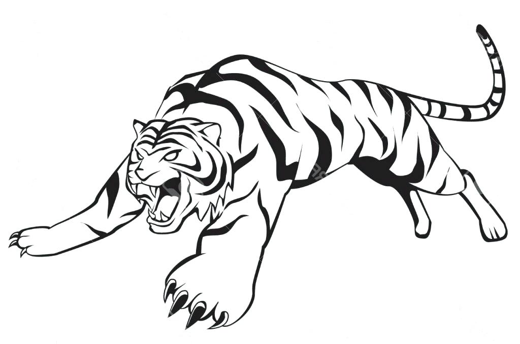1024x678 Coloring Pages For Kids Summer To Print Of Animals Adults Roaring