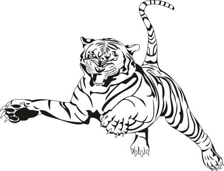 450x345 Coloring Pages Tiger Tiger Template With Outline Coloring Pages