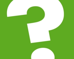 255x205 Would You Rather Be The Older Sibling