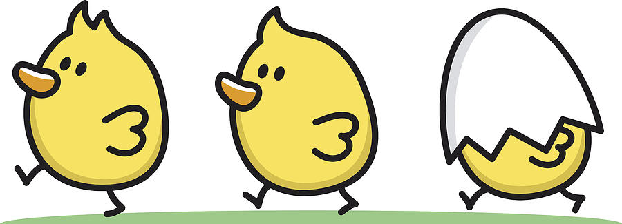 900x325 cartoon siblings three little chicks