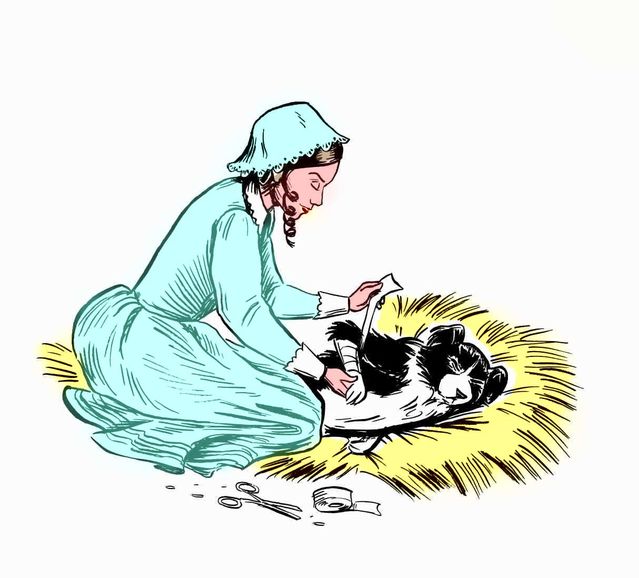 639x578 Florence Nightingale The Dog And The Dream Psychology Today
