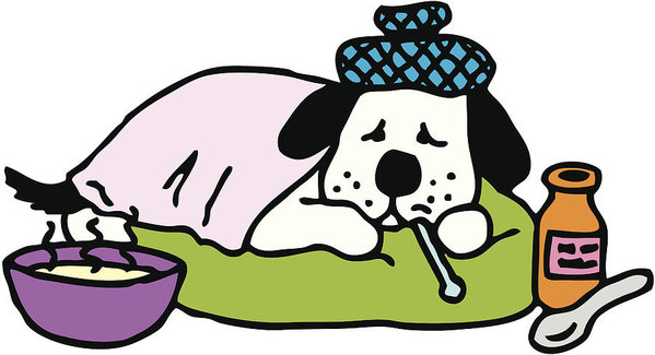 599x325 Sick Dog Art Print