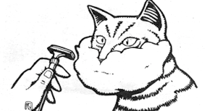 658x356 animal secrets dog tail wagging, sick flies, fish eyelids, cat