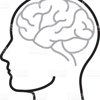336x336 Brain Easy Drawing Anatomy Age Black And White Right Activities
