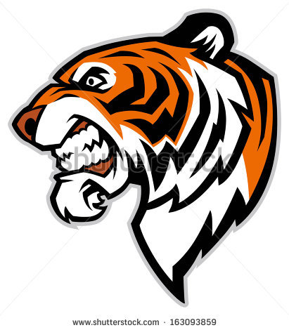 411x470 Photos Tiger Side Face Drawing