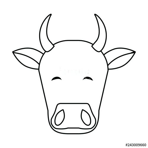 500x500 Cow Head Drawing Cows Tiger Head Drawing Side View Nip