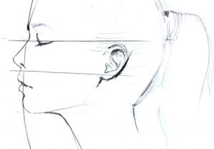 300x210 Profile Face Drawing Tutorial Gallery How To Draw Side Profile