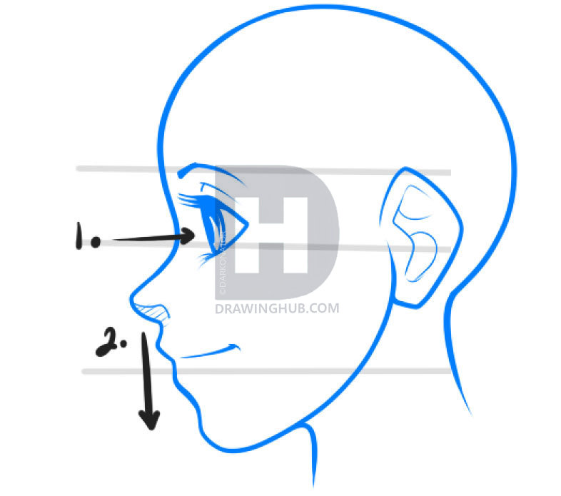 786x695 How To Draw Anime Profiles, Step
