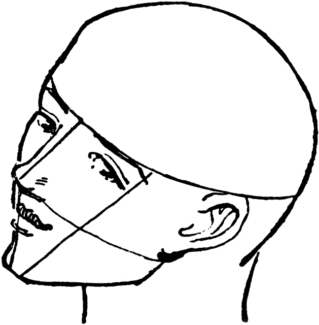 629x640 Side Profile Clipart Etc