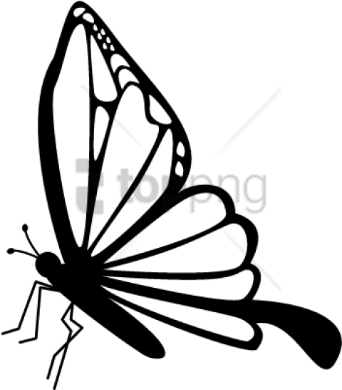 480x546 Butterfly Side View Drawing Png Image With Transparent Background