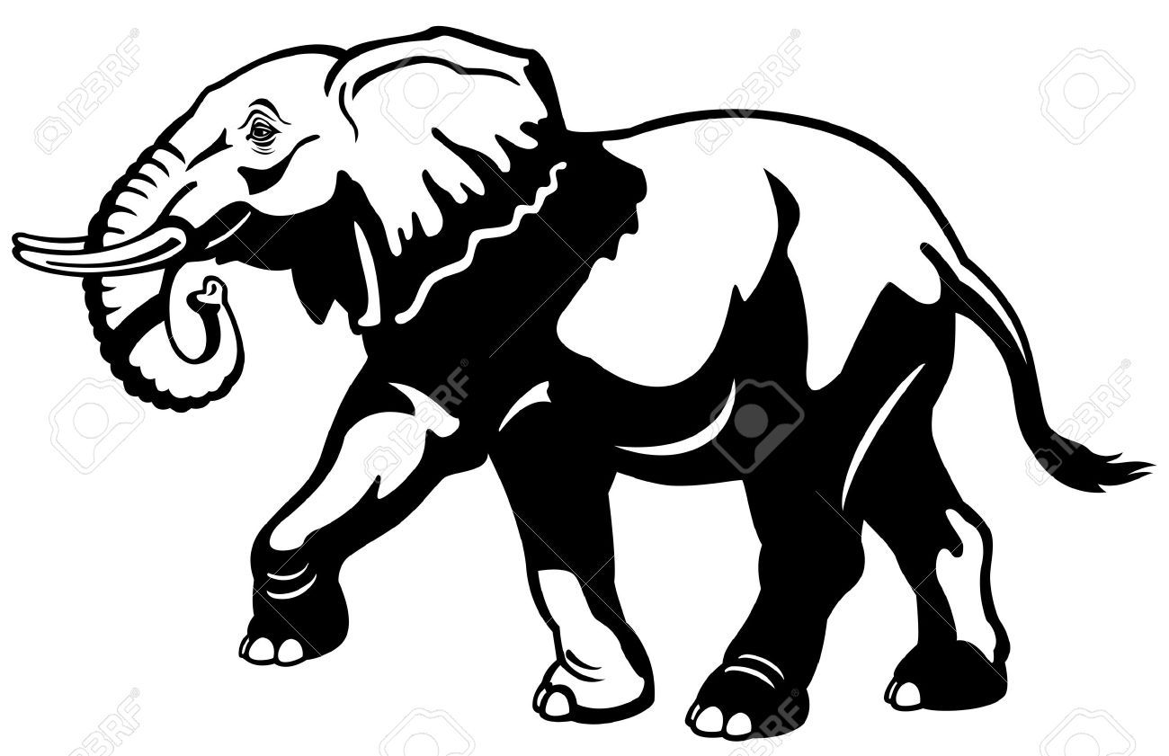 1300x841 Animals Side View